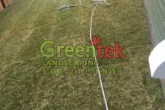 lawn-3-300x300
