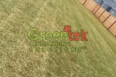 lawn-4-300x300