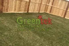 lawn-6-300x300