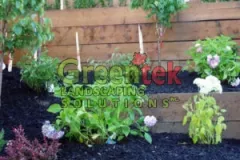 greetek-biz-pic-21-300x300-1