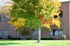h-and-h-landscaping-get-started-today-landscaping-jobs-vancouver-landscaping-ideas-around-trees-300x300-1