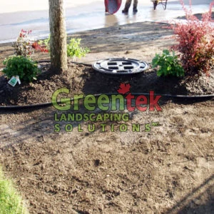 greetek-biz-pic-15-300x300