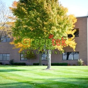 h-and-h-landscaping-get-started-today-landscaping-jobs-vancouver-landscaping-ideas-around-trees-300x300